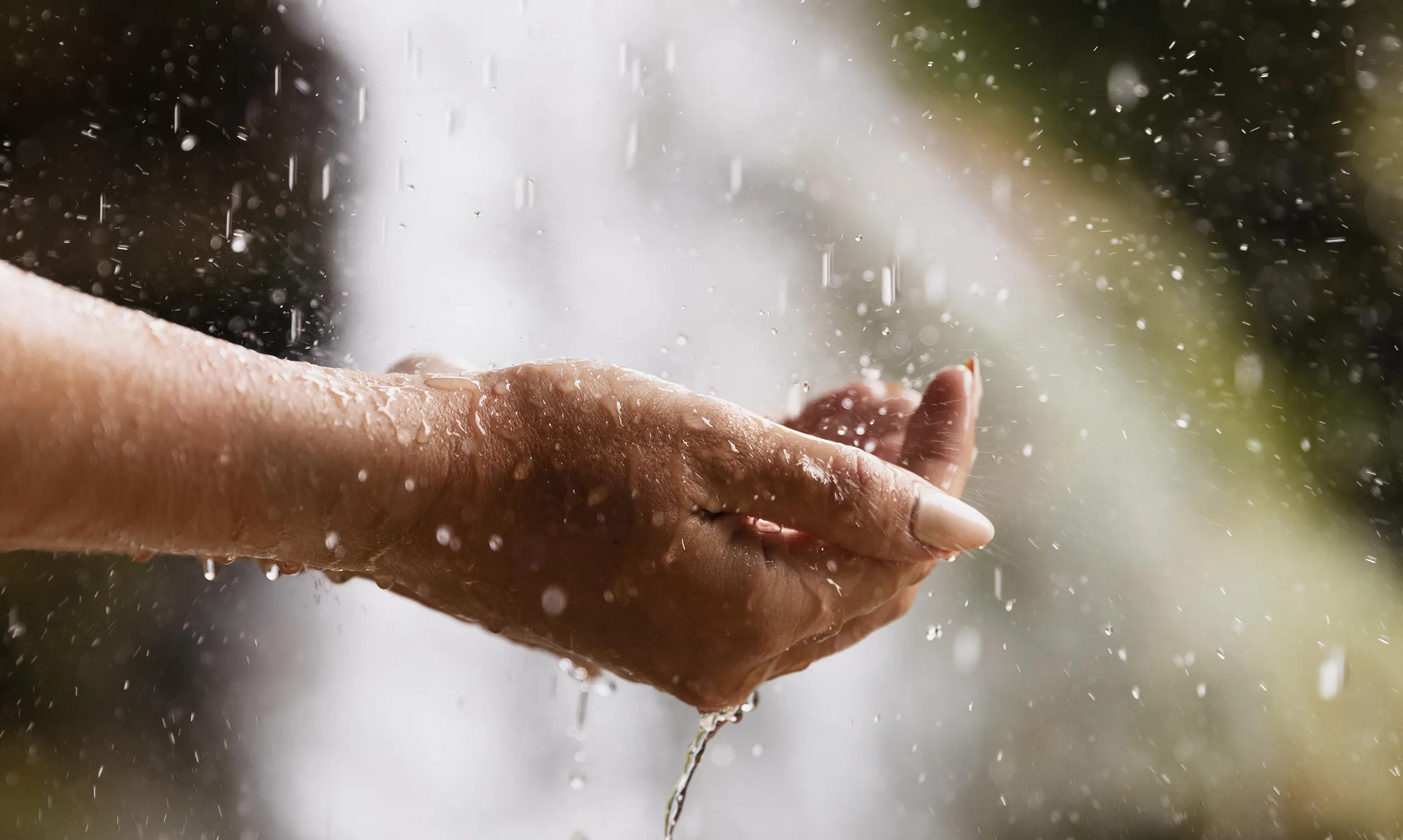 Acqua